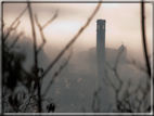 foto Colline di Romano d'Ezzelino nella Nebbia